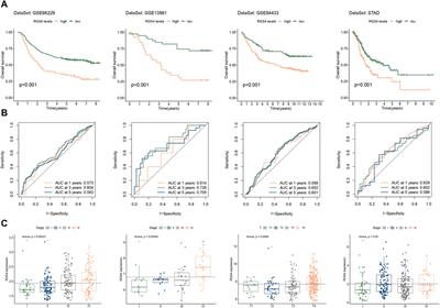 Unraveling the prognostic significance of RGS gene family in gastric cancer and the potential implication of RGS4 in regulating tumor-infiltrating fibroblast